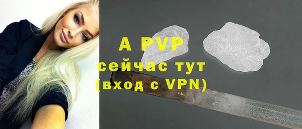 стаф Баксан