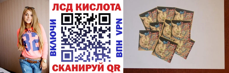 Наркотические марки 1500мкг  hydra зеркало  Козьмодемьянск 
